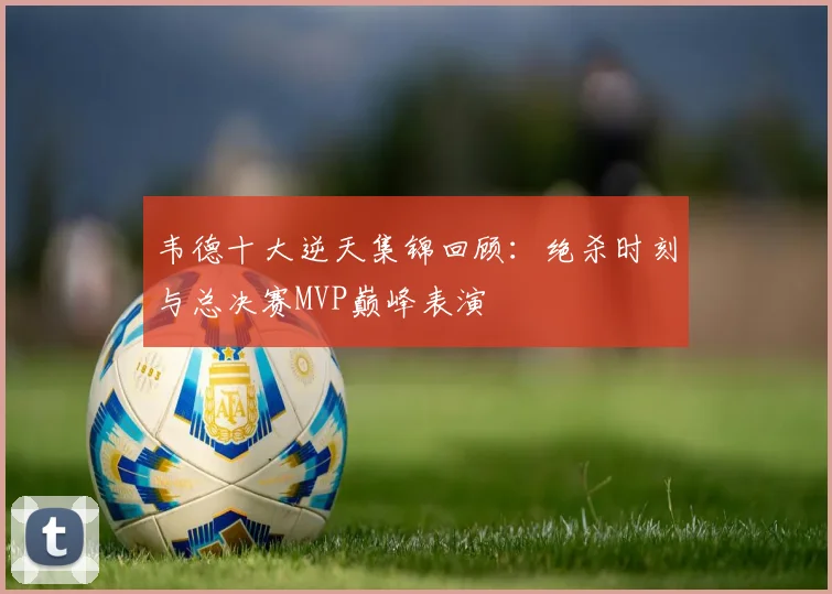 韦德十大逆天集锦回顾:绝杀时刻与总决赛MVP巅峰表演
