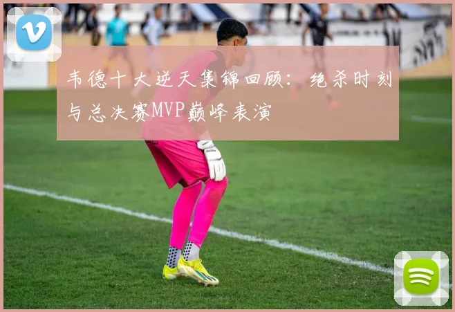 韦德十大逆天集锦回顾:绝杀时刻与总决赛MVP巅峰表演