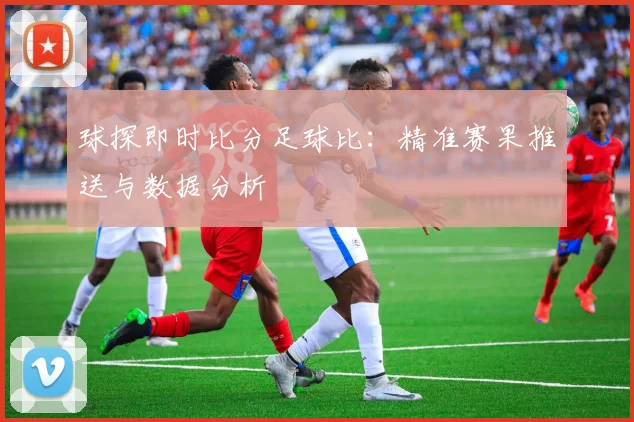 球探即时比分足球比：精准赛果推送与数据分析