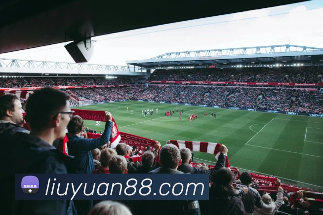 9游会官网平台生态图